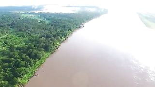 Inilah Alasan Tidak Dibangunnya Jembatan Pada Sungai Amazon