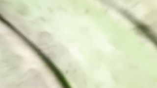 Keripik Pisang Lumer