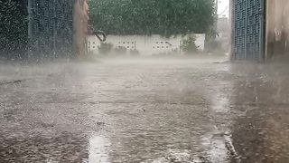 A Beautiful Rainy Scene