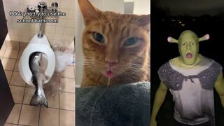 Funny TikToks that make my Monday better 67