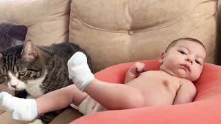 The cat love in the tiny baby's heart taught him to walk early