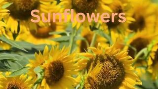 Joyful Floral Delights