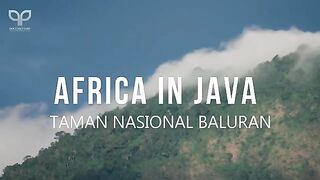 "Baluran : Disebut Afrikanya Indonesia