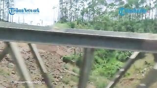 Teknik Hydroseeding Dipakai Hijaukan Lereng di Jalan Tol Balikpapan-IKN Nusantara