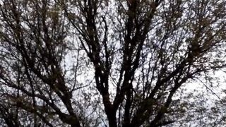 Beautiful nature 63