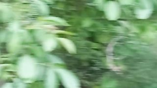 Beautiful nature 64