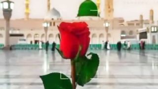 Moharam, Matam,