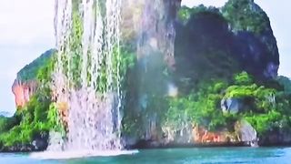 World’s funniest videos and best music video nature of the day