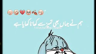 Funny Video's