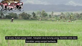 DONGENG BURUNG BANGAU DAN BURUNG ELANG YANG BERTEMAN