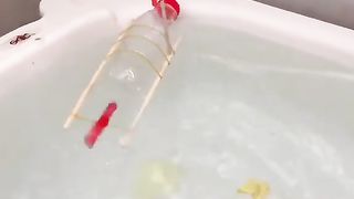 Creative ideas||Amazing crafts