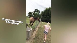 THE BEST CUTE AND FUNNY ANIMAL VIDEOS OF 2019! 2