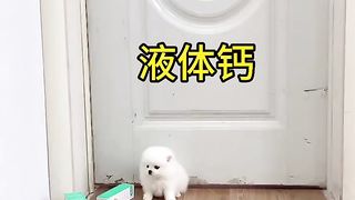 精彩推荐-快手搞笑43.