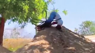 Funny video