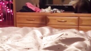 Funny TikTok video