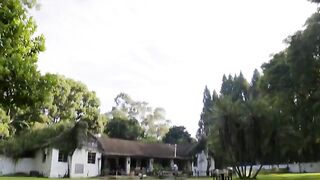 Baby elephant causes havoc at home