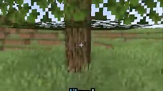 Minecraft, But It Gets More Realistic Every Time...