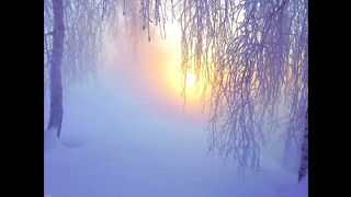 The History Of Yule
