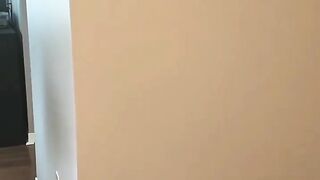 Funny Pet Animals Fail ops Moments