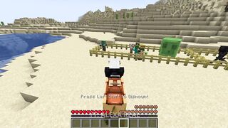 Which-mobs-can-reach-you-ON-A-CAMEL-_23