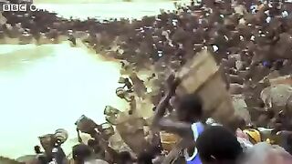 fishing   (write, what would you call this video?)