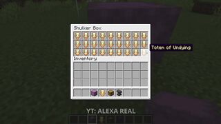 Item-elevator-_22