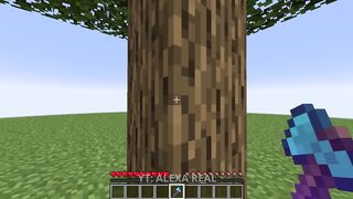 Minecraft-but-more-realistic_21