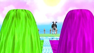 Fountain Crossing Cow Videos Animal Choose Correct Fountain Cartoon Game.