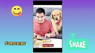 What's wrong with me ????????9funypets 9funydog