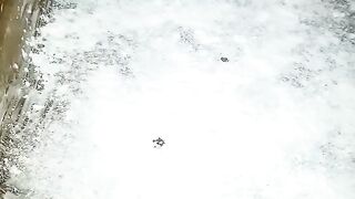 Most Delicious Cake I Ever Made