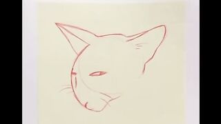 cute cat