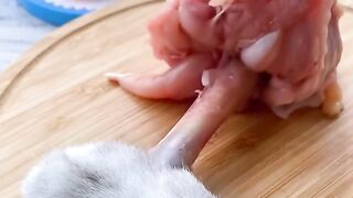 Tik Tok Chinese Cooking Cat part 1