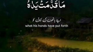 ????️عبدالرحمن مسعد????