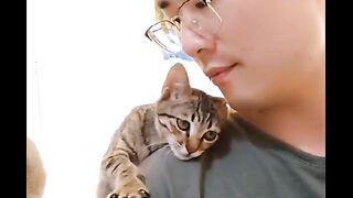 КОТКИ 30