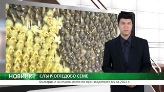 ПЪРВИ ПО ПРОИЗВОДСТВО НА  СЛЪНЧОГЛЕД В ЕС