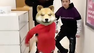 Прикол видео