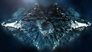 NATURE VIDEO 2