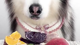 Must Watch New Very Special Funny Video 2023????