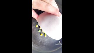 Easy dinner ideas!