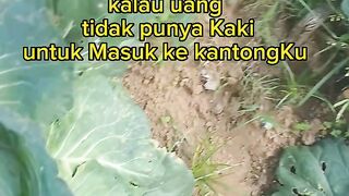 Semangat kerja Kawan
