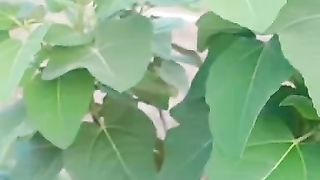 VID-20230723-WA0000. 2