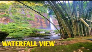 Waterfall View
