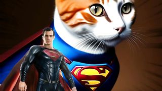 Superheroes as a cat