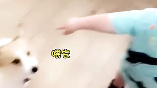 Follow the host to have food