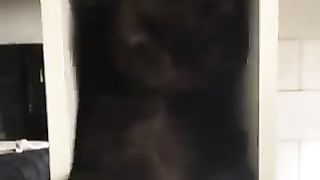 Cats like narrow shelves