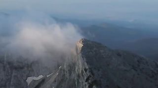 СИНАНИЦА   ПИРИН