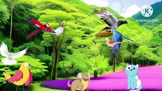 Pigeon story