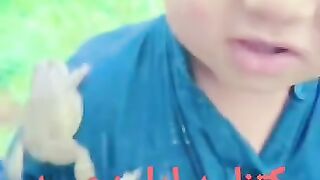 Funny video