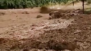 the flood disaster came instantly and people did not expect it