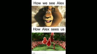 Madagascar memes compilation